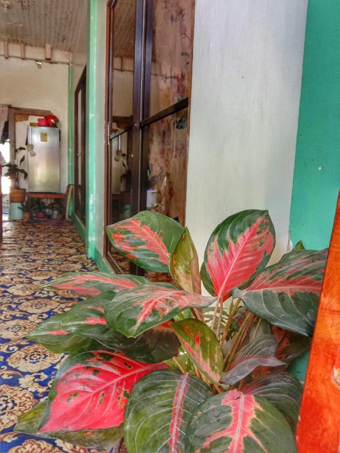 Abba Homestay General Luna  Ngoại thất bức ảnh